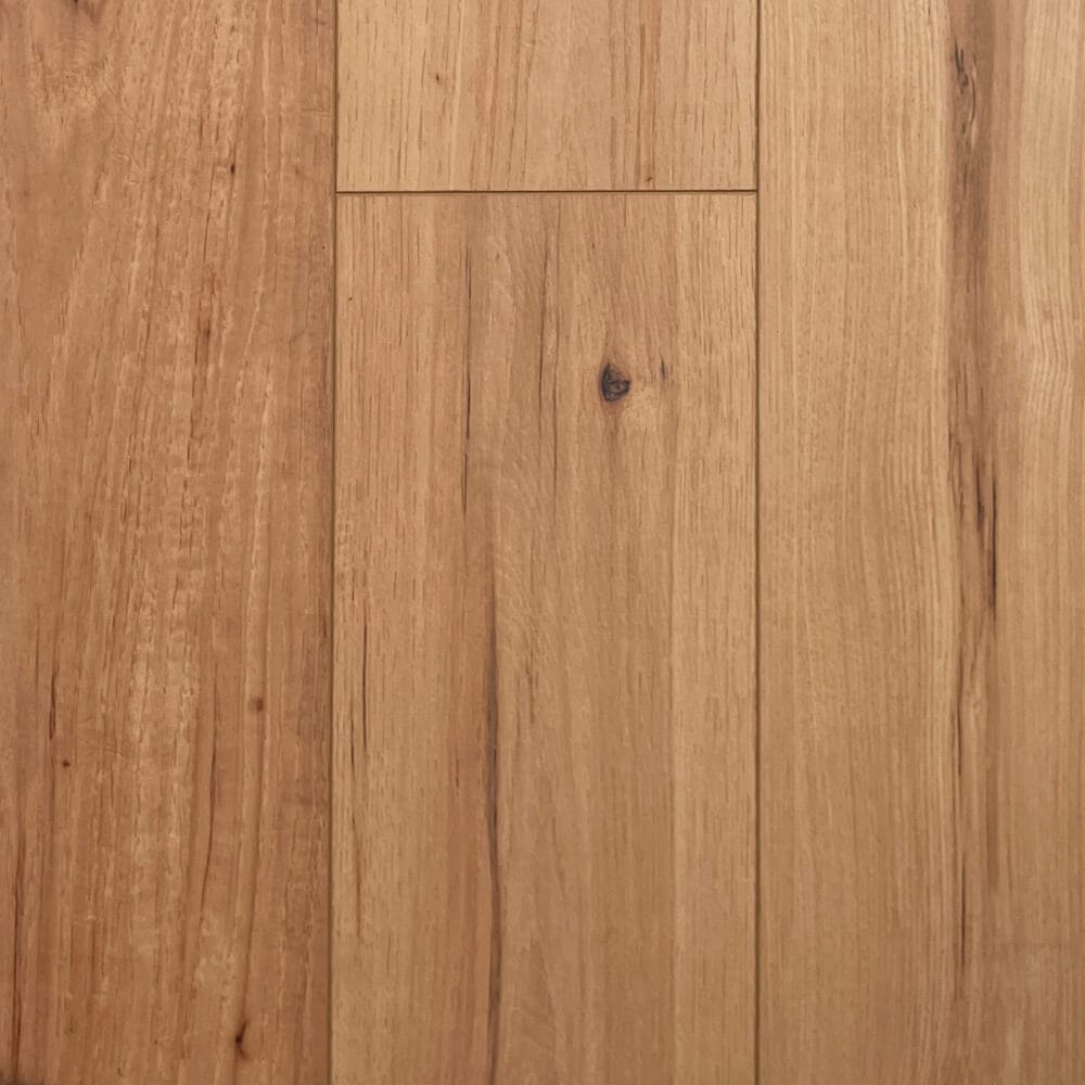 vivid vivid spectrum